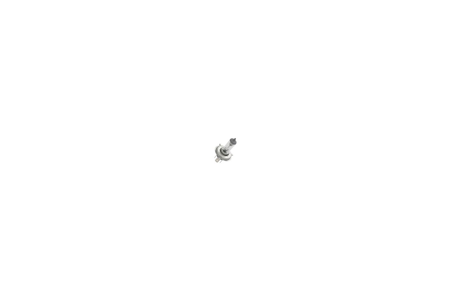 H4 55/60 Watt Bulb