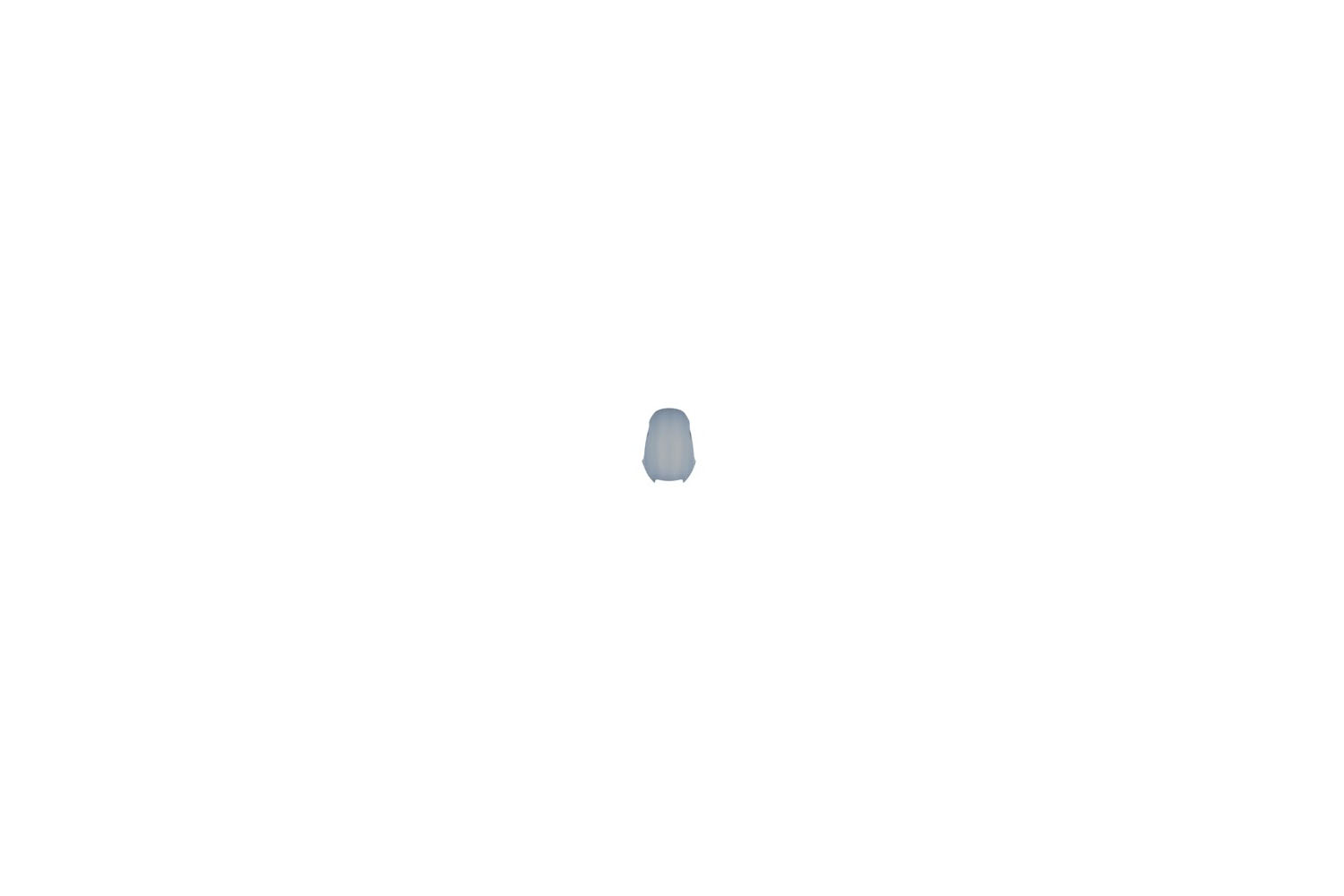 Ergo Windscreen