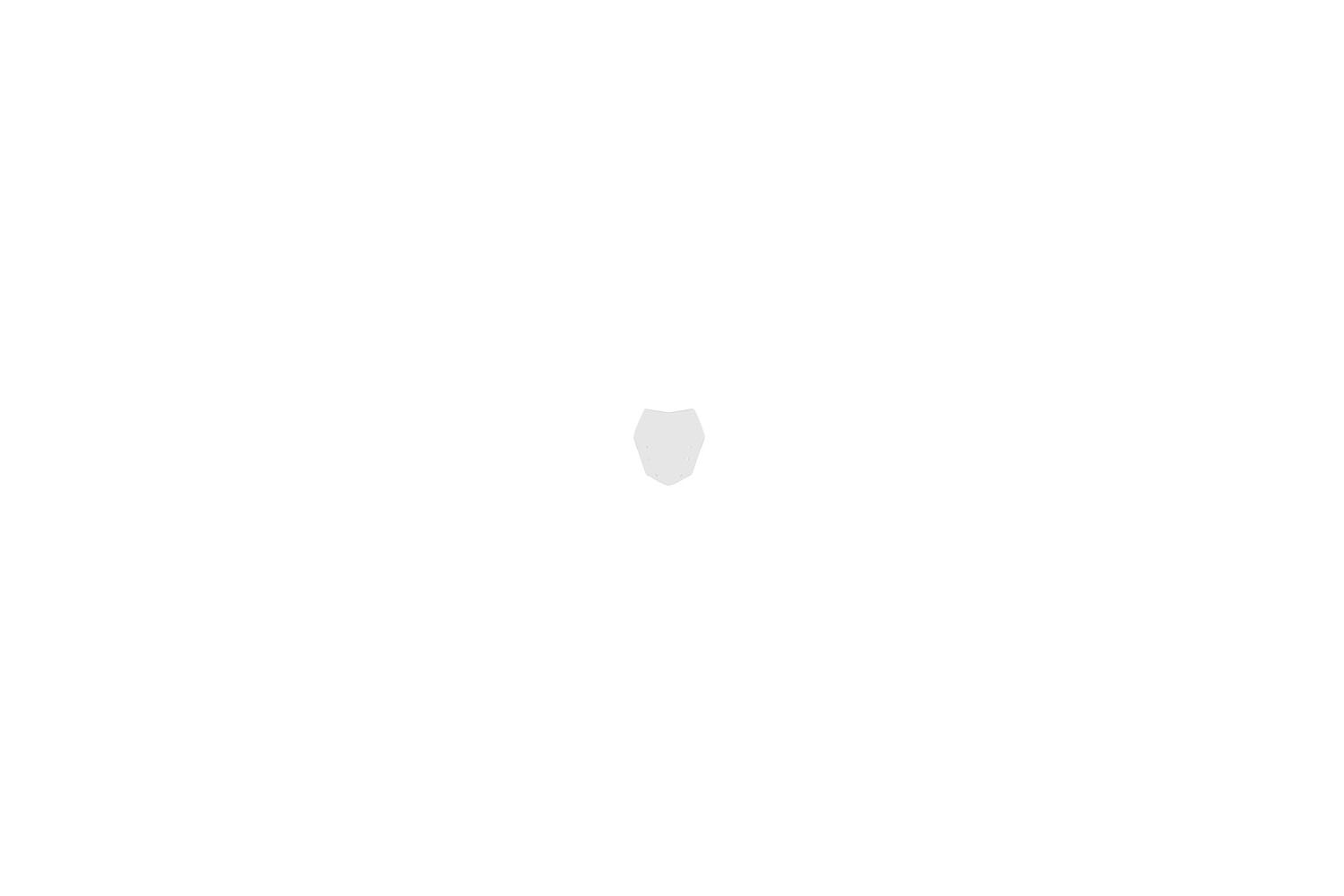 K1600GT/GTL Ergo Screen