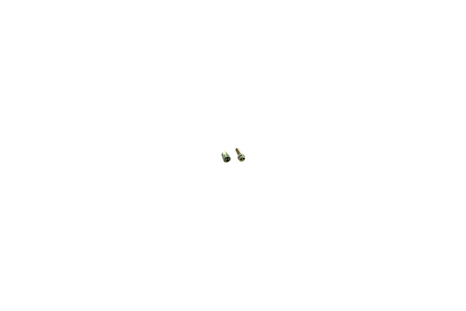 Theft Proof Wheel Bolt