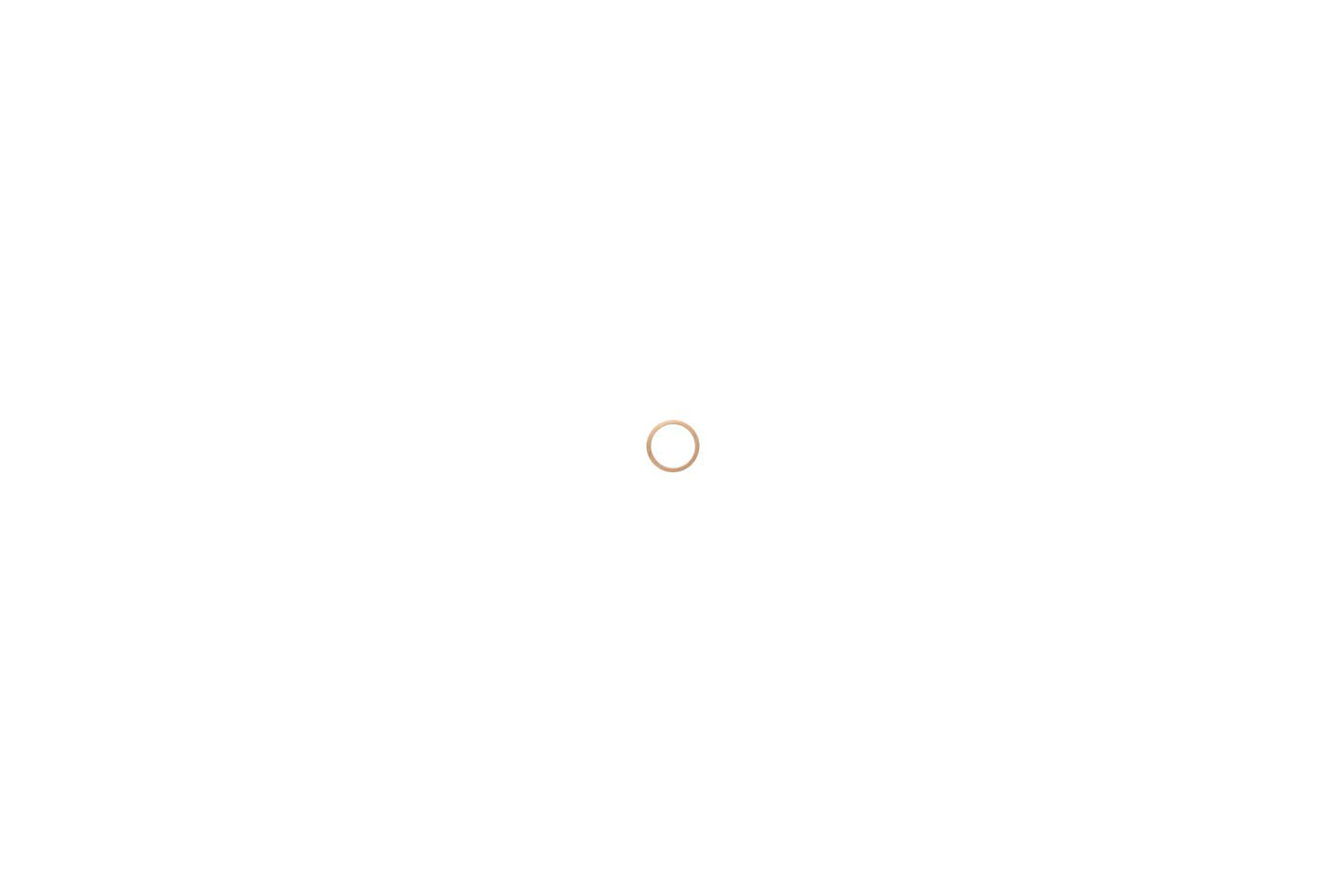 graphics/00000001/8154015.jpg