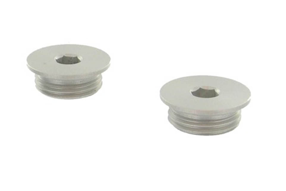 Aluminum Timing and Crank Plugs