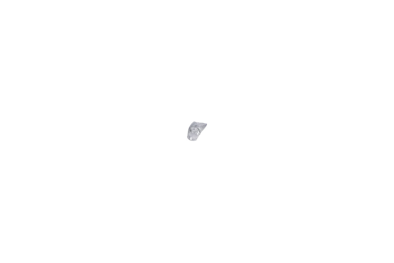Clear Tail Light Lens