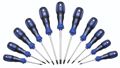 Wiha 11 Piece Torx Driver Set T6-T40