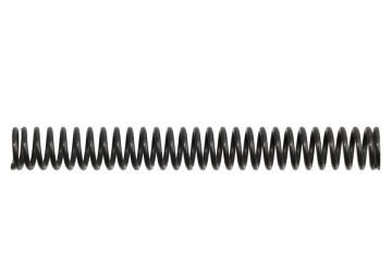 Cam Chain Tensioner Spring