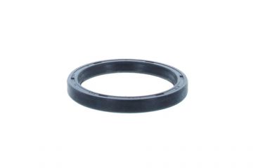 Fork Seal