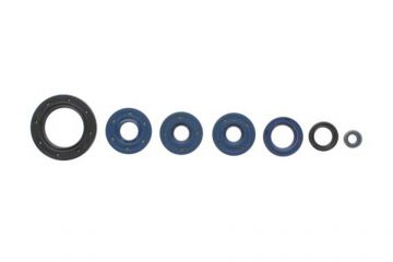 Radial Seal Kit
