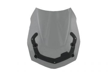 DualSport Windscreen, Tint