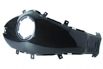 Carbon Tank Panel