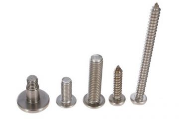 Stainless Bolt Set