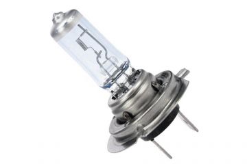 H7 55W Cool Blue Intense Bulb